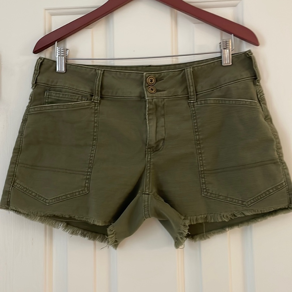 Pilcro The Wanderer Shorts, Sz 29